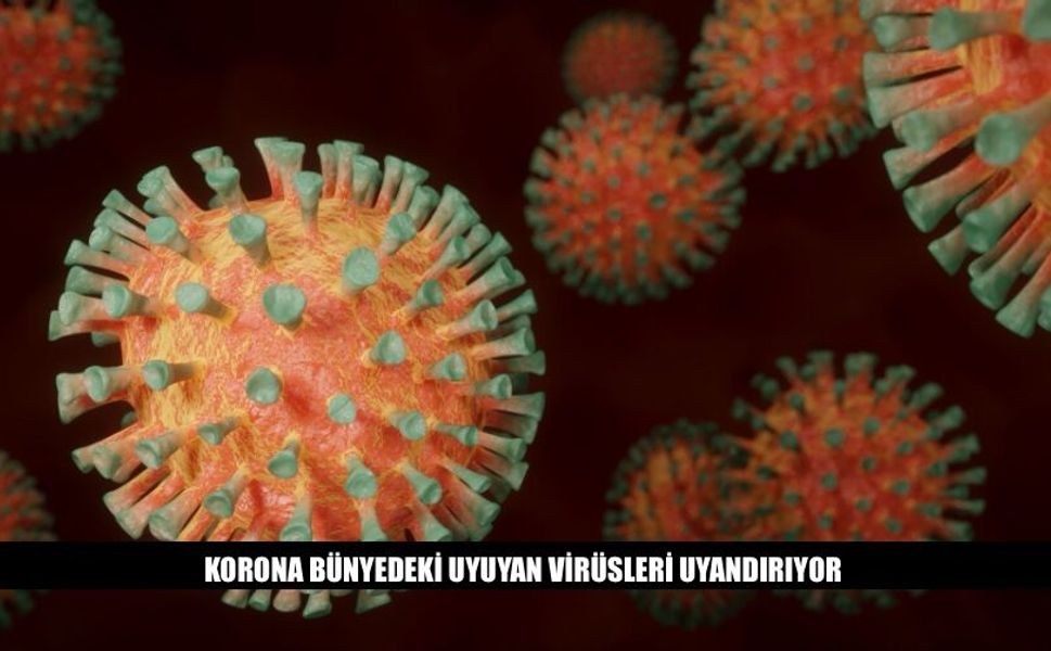 Kovid Bünyedeki Uyuyan Virüsleri Uyandırıyor