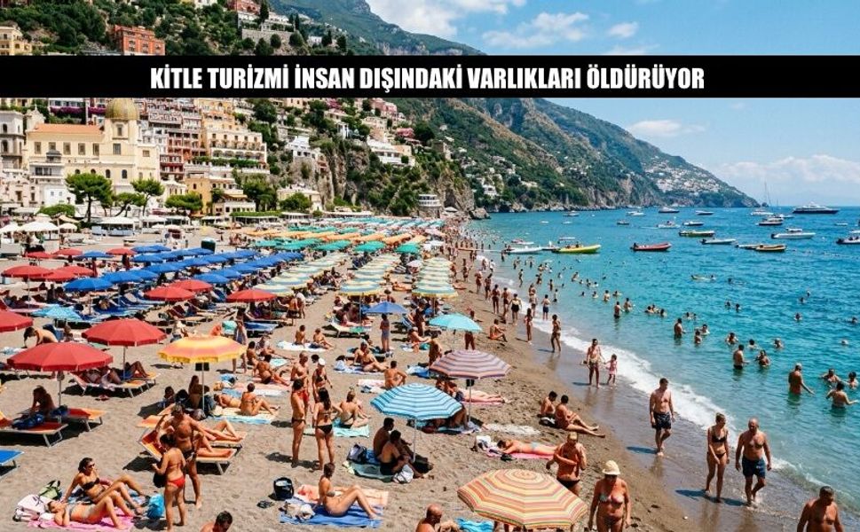 Kitle Turizmi İnsan Dışındaki Varlıkları Öldürüyor