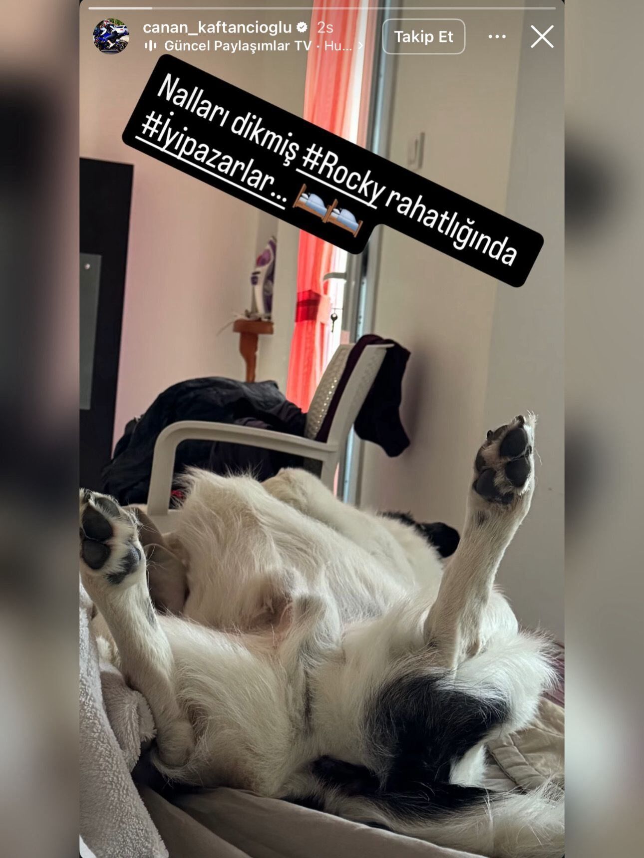 canan kaftancioglu ndan rocky paylasimi icin aciklama